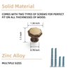 Goo-Ki Antique Brass Zinc Alloy Cabinet Knobs - 6 Pack Single Hole Center Affordable Luxury Vintage Drawer Knobs Hardware for Kitchen, 2201-GT-DAN