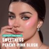 SPRINGSKY Liquid Blush, Soft Moisturizing Matte Blush, Blendable Face Blush for Cheeks, Long-Wearing Smudge-Proof Natural Blush Liquid - 03 Peachy-Pink