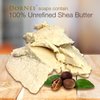 DorNeé Avocado Complexion Bar, Facial Bar, Oily Skin, Gentle Exfoliation, Natural, Made With Fresh Avocado Puree, Shea Butter, Essential Oil Blend (5 oz)