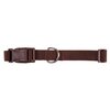 Zack & Zoey ⅜" Wide Nylon Dog Collar, Fits Necks 6" to 10", Chocolate Brown