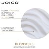 Joico Blonde Life Brightening Shampoo and Conditioner Set