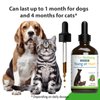 Pet Wellbeing Young at Heart for Dogs & Cats - Vet-Formulated - Supports Cardiovascular (Heart & Circulatory) Health - Natural Herbal Supplement 4 oz (118 ml)