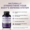 Quercetin with Vitamin C and Zinc - Elderberry - Quercetin 500mg - Quercetin with Bromelain - Zinc Quercetin - Vitamin D3 - 6 in 1 Daily Immune Support, Non-GMO - Sambucus Supplement - 4 Months Supply