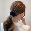 Aweoisa Black Birds Nest Hair Clip,3PCS Hair Accessories For Women,Bird Nest Magic Hair Clip,Hair Bun Accessories For Women,Hair Bun Clip