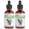 Natural Antibiotics for Cats | Cat Supplements | Cat Antibiotic | Cat Antibiotics | Cat Immune Support | Antibiotic for Cats | Cat Multivitamin | Multivitamin for Cats | 2 Pack: 60 Servings Total