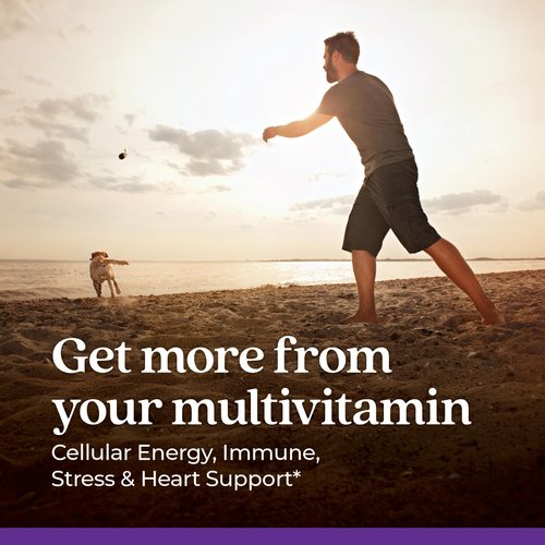 New Chapter Men's Multivitamin for Immune, Stress, Heart + Energy Support with Fermented Nutrients - Every Man's One Daily, Made with Organic Vegetables & Herbs, Non-GMO, Gluten Free - 48 ct