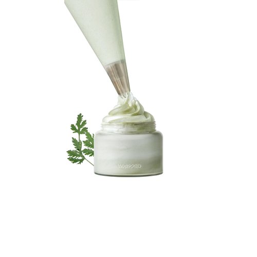WHIPPED CREAM VEGAN CLEANSER MUGTREE - Mugwort & Tea Tree | For Oily Skin, Moisturizing Face Cleanser, Sebum & Pore Care, Niacinamide, Hyaluronic Acid | Korean Skincare, 120ML (4.05 fl. oz)