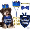STMK Dog Birthday Party Supplies, Multi Size Dog Birthday Hat with Numbers Dog Birthday Boy Bandana Bow Tie for Small Dogs Pets (Blue, Small)