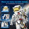 PeachLeaf Space Astronaut Building Kit Toys, Puzzle Educational Toy Engineering STEM Spaceman Exploration Building Blocks DIY Model for Adults and Boy Girls Age 8+
