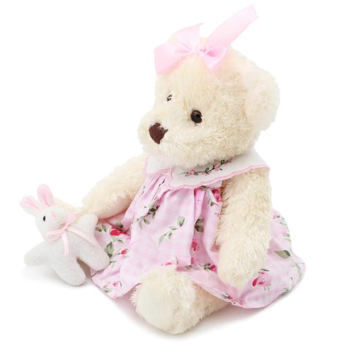 Oitscute Small Baby Teddy Bear with Cloth Cute Stuffed Animal Soft Plush Toy 10" (Pink Dress with Rabbit)