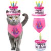 Ushang Pet Happy Birthday Cake Catnip Toys, Birthday Cake Shaped Chew Toys for Kitten Funny Cats Gifts Plush Cat Birthday Party Toys, Pink