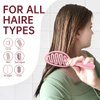 Daily Gard Detangling Brush, Dry and Wet Vented Detangler Hair Brush for Women and Men, Paddle Quick Drying Hairbrush for Wet/Dry/Curly/Thick/Long/Wavy/Damaged Hair, Pink