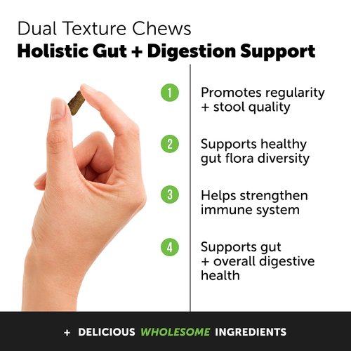 Cat Probiotics Gut + Immune Health Crunchy & Creamy Chews - Digestive Health, Supports Gut Health, Immunity, Healthy Digestion + Cat Constipation Relief - Chicken 30-Day Supply