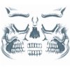Skull Full Face Special Effects Face Temporary Tattoo