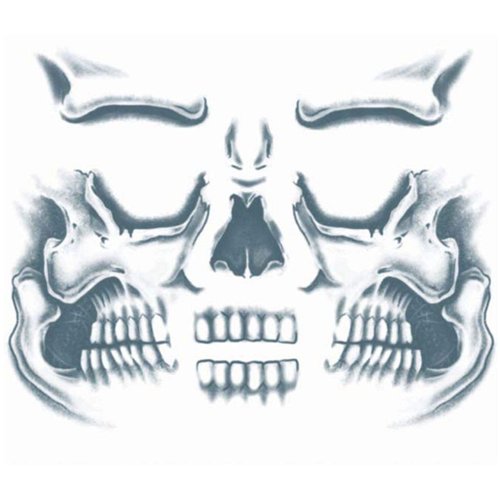 Skull Full Face Special Effects Face Temporary Tattoo