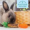 Oxbow Enriched Life Birthday Party Pack - Small Pet Toy - Great for Guinea Pigs, Rabbits, and Other Small Animals
