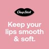 ChapStick Lip Care Set, Ice Cream Collection 3-Pack – Strawberry Gelato, Vanilla Bean Ice Cream, Orange Sherbet Lip Balm, 0.15 Oz Ea