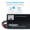 Tenergy Airsoft Battery 8.4V 3800mAh NiMH Flat Battery Packs w/Standard Tamiya Connector + 6V-12V Universal Battery Charger for NiMH/NiCd Battery Packs for Airsoft Guns, RC Hobbies