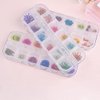 TEOYALL 24 Colors Dried Flowers for Nail Art, 2 Boxes 3D Dry Flowers Nail Stickers Colorful Natural Real Flower Nail Decals