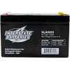 Interstate Batteries 6V 7Ah Battery (F1 Terminal) SLA AGM VRLA Rechargeable Replacement for Electric Fences, UPS Backup Systems, Solar, Medical Devices (SLA0925)