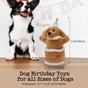 Fuzzwoof Birthday Cake Dog Toy, Singing and Dancing Birthday Songs, Interactive Dog Toys, Plush Stuffed Puppy Toys with Echo Function Feature, Happy Birthday Gift for Dogs