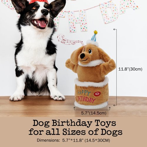 Fuzzwoof Birthday Cake Dog Toy, Singing and Dancing Birthday Songs, Interactive Dog Toys, Plush Stuffed Puppy Toys with Echo Function Feature, Happy Birthday Gift for Dogs