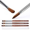 Modelones 3pcs Acrylic Nail Brush Set, Size 8/10/12 Kolinsky Acrylic Brushes for Acrylic Powder Application, Nail Extension, 3D Nail Carving, Round Shaped Nail Art Brushes with Wooden Handle
