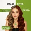 Henna Powder for Hair – 100g Premium Quality, 100% Natural, and Chemical-Free