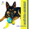 PET’SBARREL Snuffle Ball for Dogs - Interactive Toy for Mental Stimulation and Slow Feeding - Yellow and Blue Dog Toy. Puzzles for Dogs to Keep Them Occupied.