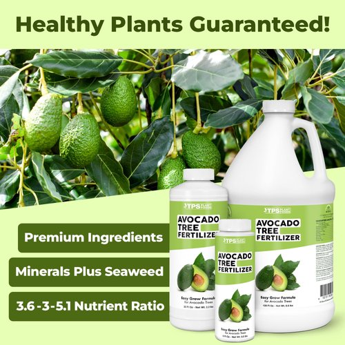 Avocado Tree Fertilizer, Complete Liquid Avocado Plant Food, 8 oz (250mL)