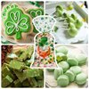 sorkwo 100 Pcs St. Patrick's Day Cellophane Treat Bags Clover Cellophane Bags Shamrock Candy Bags Irish Lucky Bags with 100 Twist Ties for Saint Patrick Day Party Favor