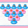 24 Pieces Pink Blue Gender Reveal Rubber Ducks in Bulk Mini Ducky Bath Toys Team Girl Team Boy Small Ducks for Baby Shower Gender Reveal Party Favor Decorations