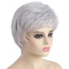 SYXLCYGG Short Silver White Wig Old Lady Wigs Wavy Synthetic 2.7 OZ Older Ladies Womens Hair Wigs Fluffy Thin and full Free Wig Cap