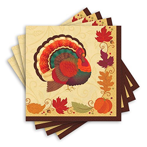 Amscan Turkey Holiday Thanksgiving Beverage Paper Napkins, Multicolor, 5" x 5"
