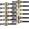 Set of 12 Wrestling Action Figure Championship Belts for Wrestling Action Figures [Series 1]
