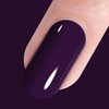 Vishine Gelpolish Professional UV LED Soak Off Varnish Color Gel Nail Polish Manicure Salon Purple (1417)