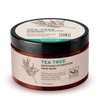Soapbox Hair Mask, Tea Tree Deep Conditioner - Soothing Hydration for Dry, Damaged or Frizzy Hair (12oz)