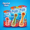Hartz Chew 'n Clean Dental Duo Dog Treat & Chew Toy, Color Varies, Large, 3 Pack