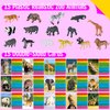15 PCS Safari Animal Figurines with 15 Introducing Flashcards, Realistic Zoo Animal Figures Montessori Toys Science Educational Matching Game for Homeschool Preschool Toddler Kids