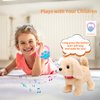 Monealpis Walking Dog Toy - Toddler Dog Toys for Girls Aged 2+, Singing, Barking, Talking Golden Retriever Plush with Leash, Interactive Dog Playset Gift for Kids, Boys and Girls