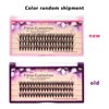 Dedila 8-20MM to Choose Professional Makeup Individual Cluster Eye Lashes 20 Root 0.07C Curl Grafting Mink Fake False Eyelashes Extension Beauty Tools (20mm)