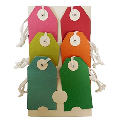 The Gift Wrap Company 12-Count Recycled Gift Tags, Eco Brights