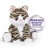 Warm Pals - Kiki Kitten - 1.5lbs - Cozy Microwavable Lavender Scented Plush Toys - Heated Stuffed Animal - Heatable Coolable Bedtime Comfort Plushie