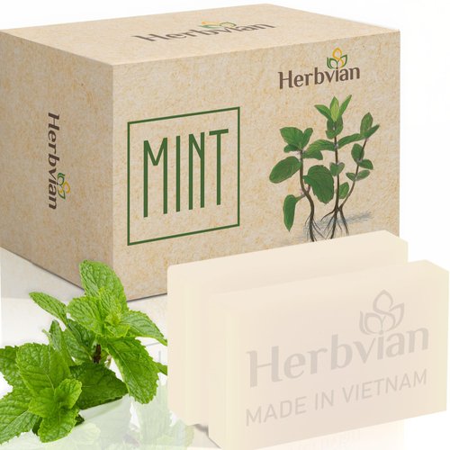 2 Pcs Peppermint Soap Bars, Mint Mentha Arvensis Moisturizing Soap Bars, Back Ance Bath Body and Face Soap, Cleanser Soap Bar with Mint and Coconut Oil, Soap for Men, Women, Teen and All Skin Types