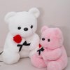 Wgxzyq 12 inch Teddy Bear Stuffed Animal with Rose, Soft Cuddly Stuffed Plush Bear, Gifts for Kids Baby Toddlers on Baby Shower, Valentine's Day (Pink)
