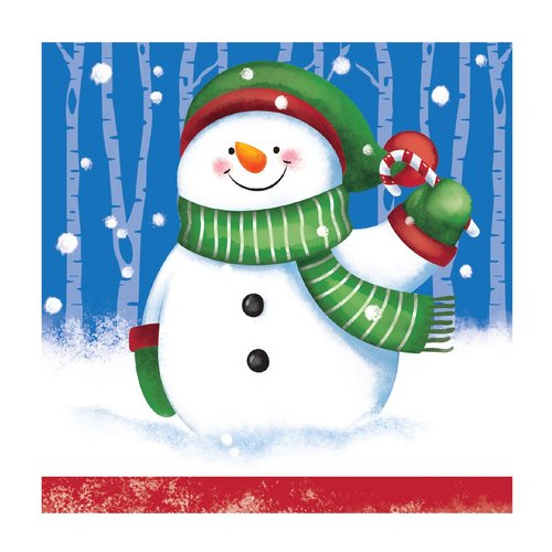 Creative Converting 16 Count Paper Beverage Napkins, Snow Day