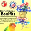 Bonka Bird Toys 3847 Boxy Cube Small Bird Toy Natural Palm Box Crunch Bamboo Treat Finger Traps Forage Chew Cockatiel Parakeet Conure African Grey Cage Pets.