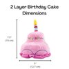Midlee 2 Layer Birthday Cake 7" Tall Dog Toy (Pink)