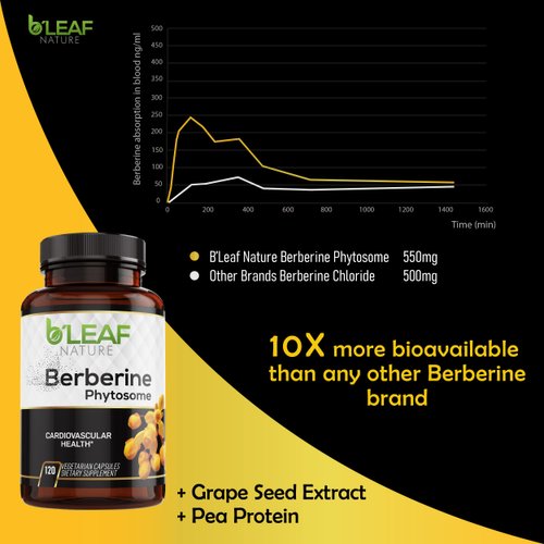 B’Leaf Nature's Berberine Phytosome Vegetarian Capsules - Superior Absorption, Natural Herbal Supplement for Better Health - Gluten-Free, Non-GMO - 120 Capsules, 1100mg per Serving