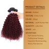 Ombre Dark Red Curly Weave Human Hair 3 Bundles 99J Brazilian Curly Hair 100g/Bundles Burgundy Kinky Curly Human Hair Extensions for Black Women (10"12"14")
